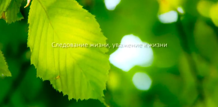 亚洲城yzc88集团形象片（русский）