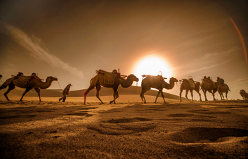 亚洲城yzc88国际 “一带一路”倡议培训平台